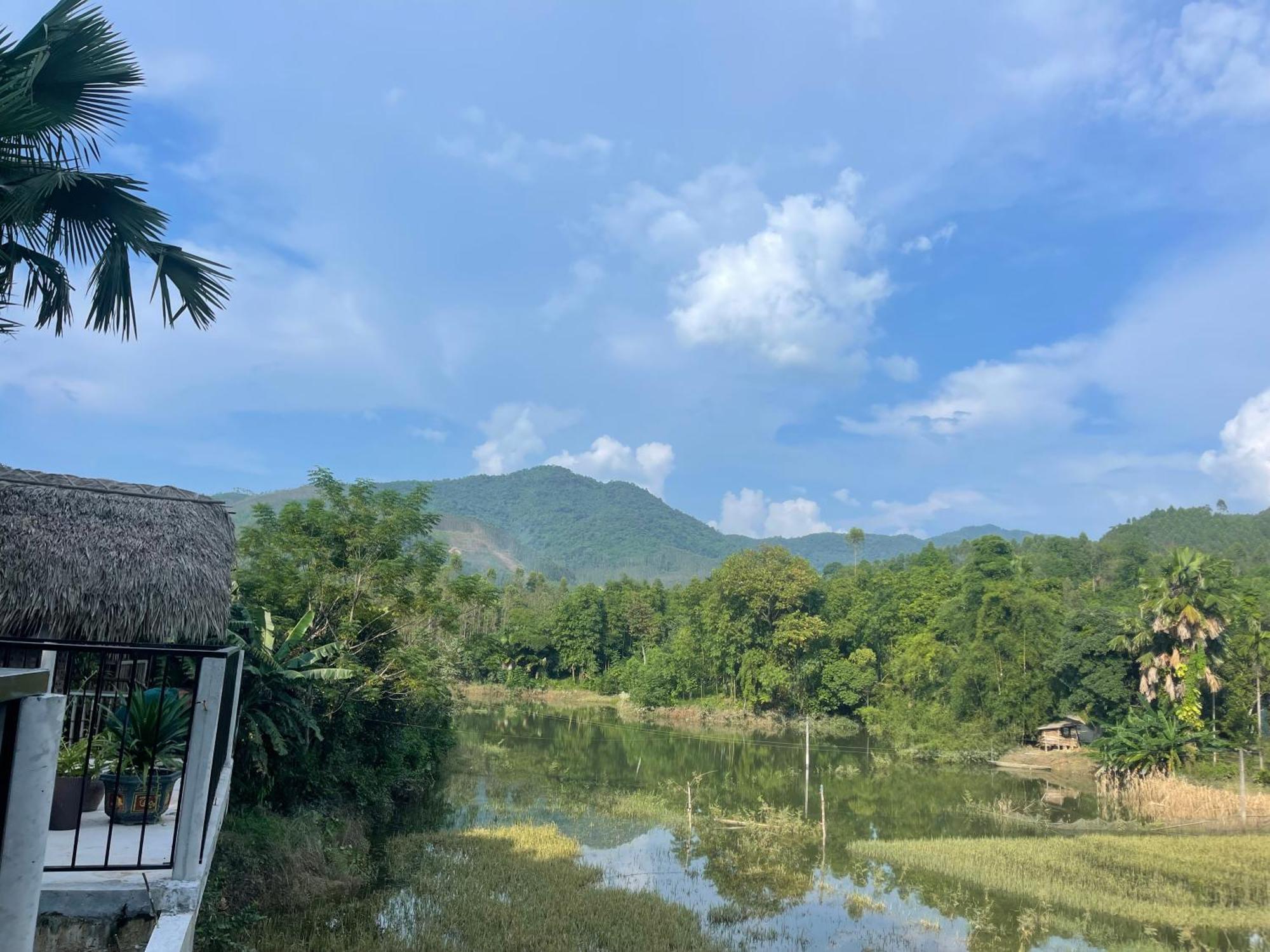 Vu Linh Palm House Homestay - Bungalow Yen Bai Eksteriør billede