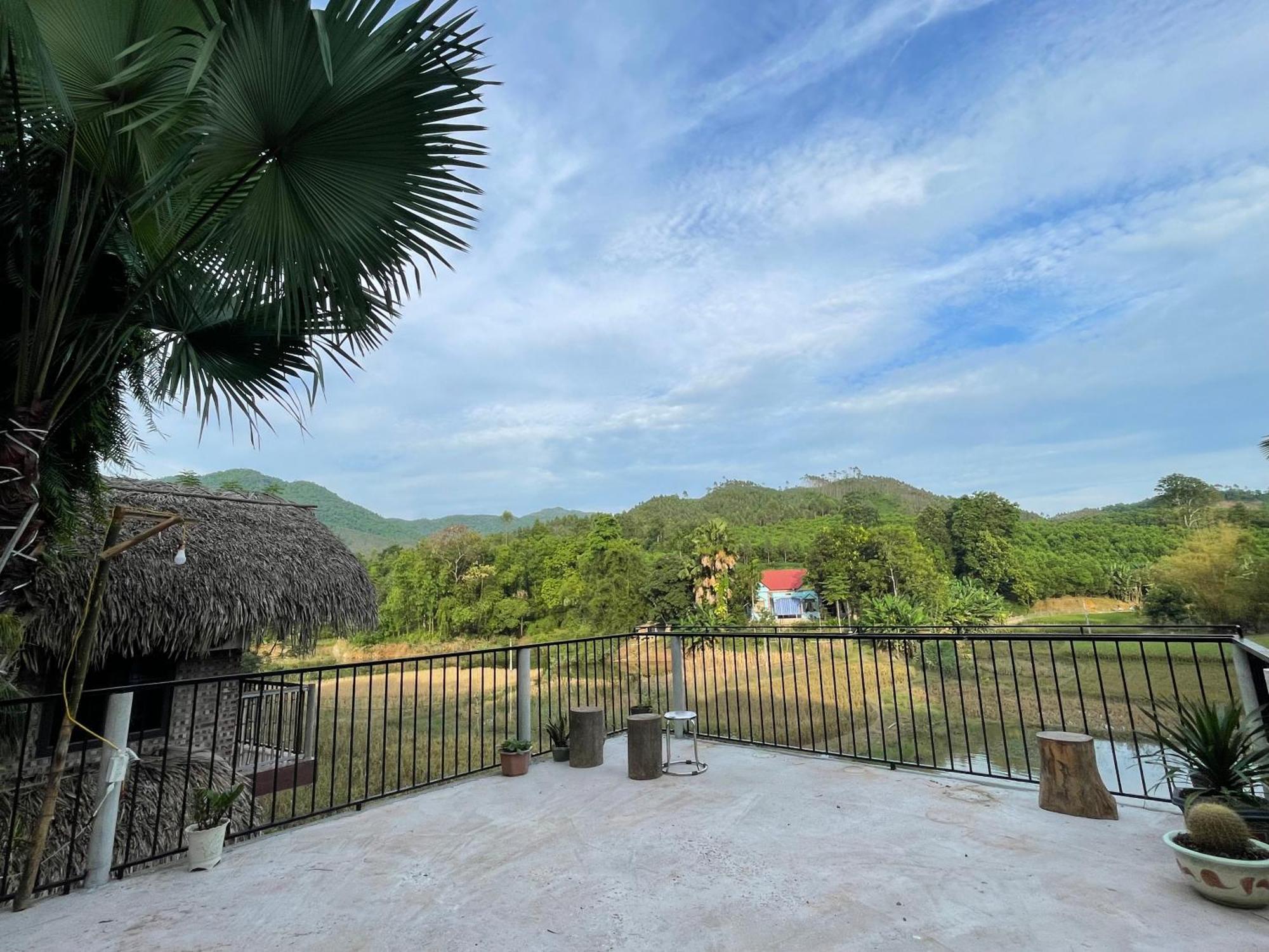 Vu Linh Palm House Homestay - Bungalow Yen Bai Eksteriør billede