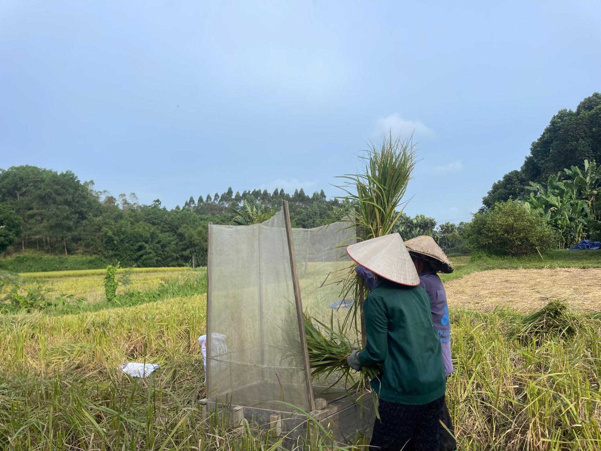 Vu Linh Palm House Homestay - Bungalow Yen Bai Eksteriør billede